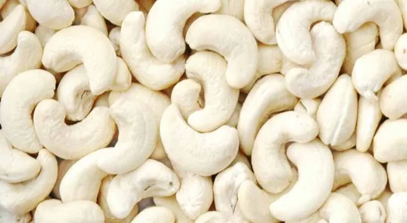 cashew-nuts-kernels